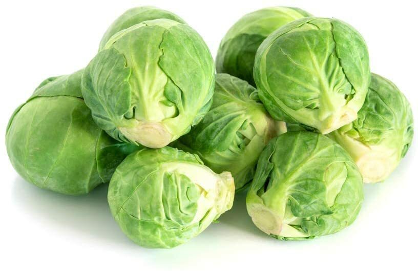 250+ Brussel Sprouts Seeds to Grow Your Own Food
