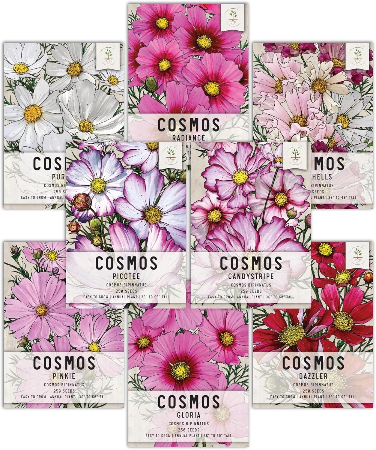 Plant 250 Cosmos Heirloom Flower Seeds – Create Stunning Summer to Fall Blooms