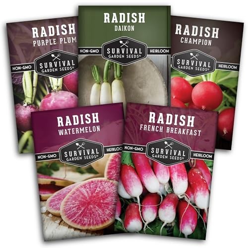 Radish Seeds Variety Pack – 5 Packets | Heirloom Non-GMO Radishes for