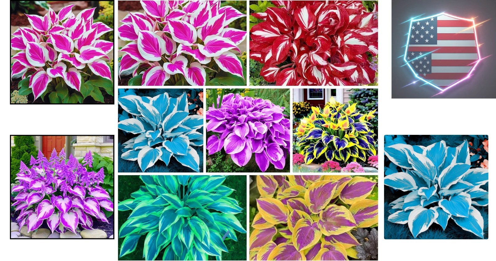400+ Perennial Rare Hosta Seeds Heart-Shaped Hosta Bare Roots – Rich Foliage,…
