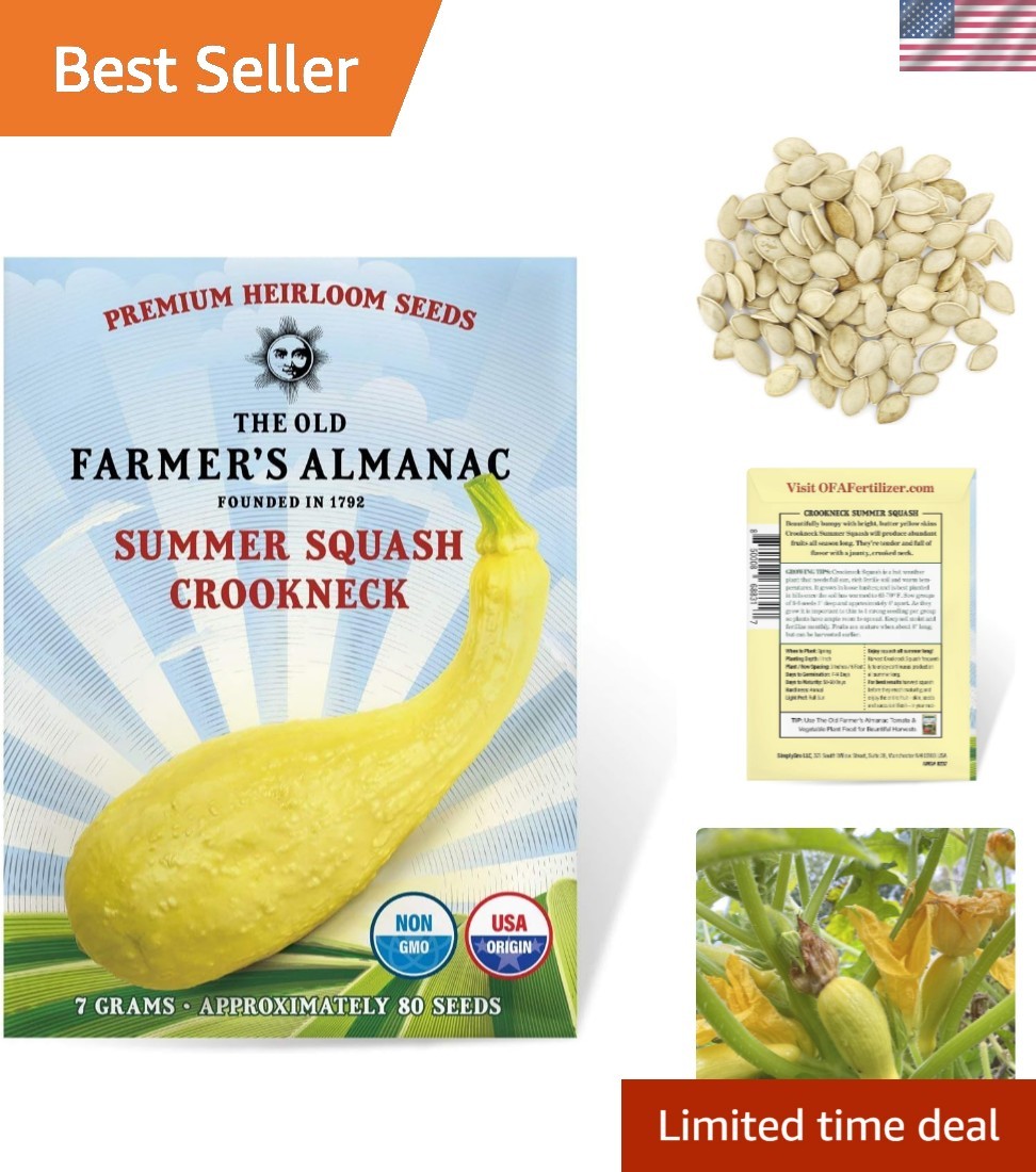 Organic Heirloom Yellow Crookneck Squash Seeds – 70 Seeds for Delicious Cooking