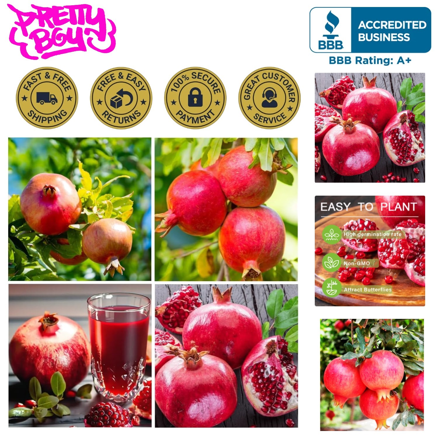 50+ Non-GMO Pomegranate Seeds for Sweet, Abundant Fruit – Home Garden Essential