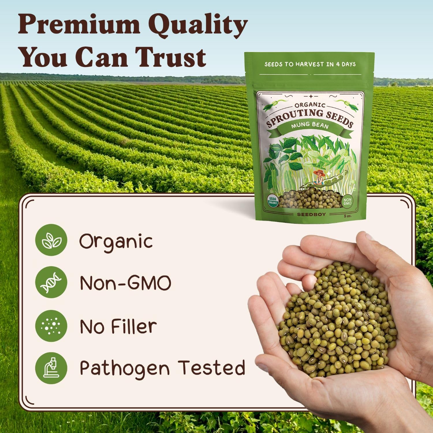 Organic NonGMO Mung Bean Seeds for Sprouting 8 oz Bag, 24 Servings