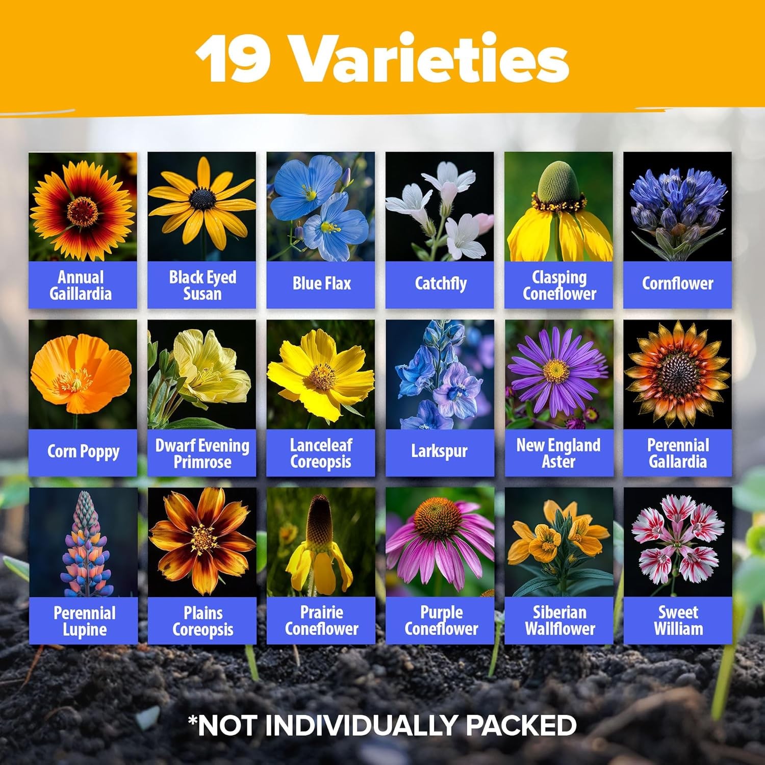 65000+ Wildflower Seeds Heirloom Perennial Flower Mix Bees Birds Midwest 4 oz