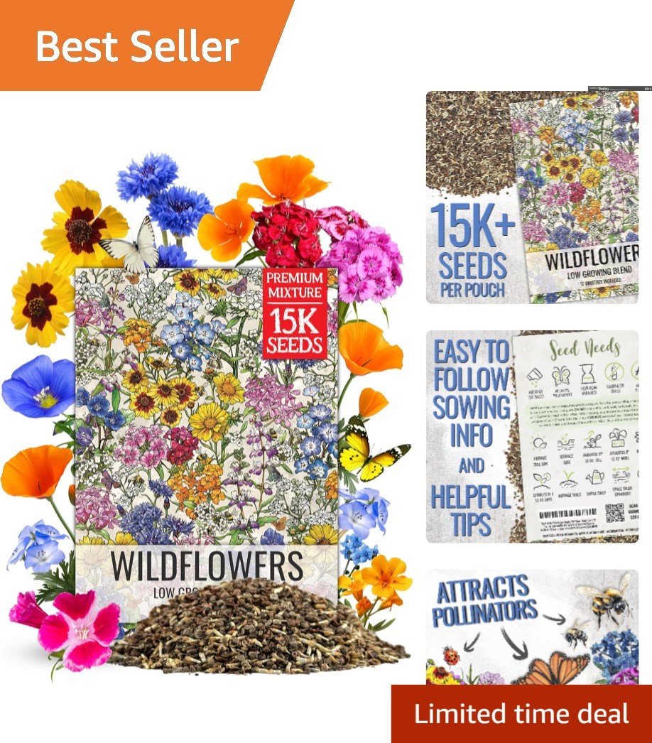 Multicolored Wildflower Seed Mixture – 1 Oz Resealable Blend for Blooming Beauty