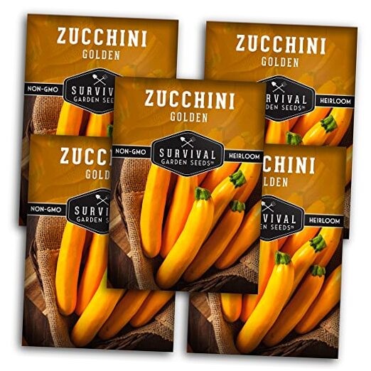 Golden Zucchini Seeds for Planting – Plant & Grow Yellow Zucchini Vegetables 5