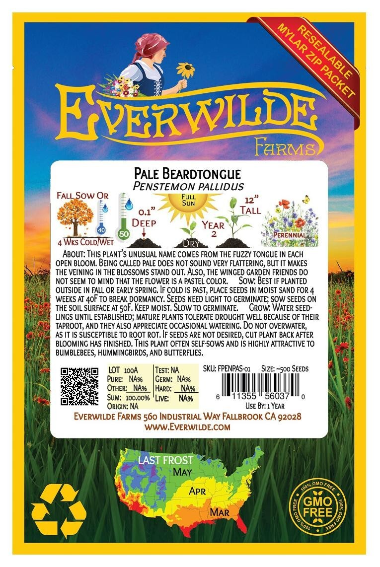 500 Pale Beardtongue Wildflower Seeds – Everwilde Farms Mylar Seed Packet