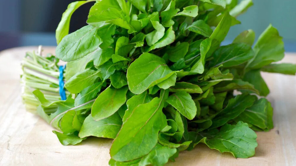 Arugula Seeds- Slow Bolt Heirloom Fresh Seeds Packed for 2024 Grown Organically