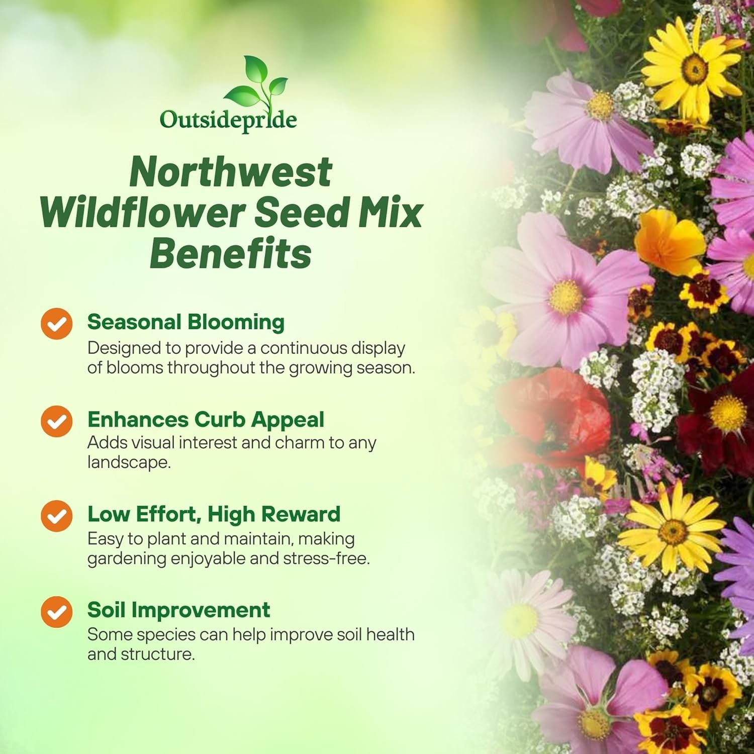 Outsidepride Northwest Wild Flower Seed Mix – 1/4 lb Premium lb.,