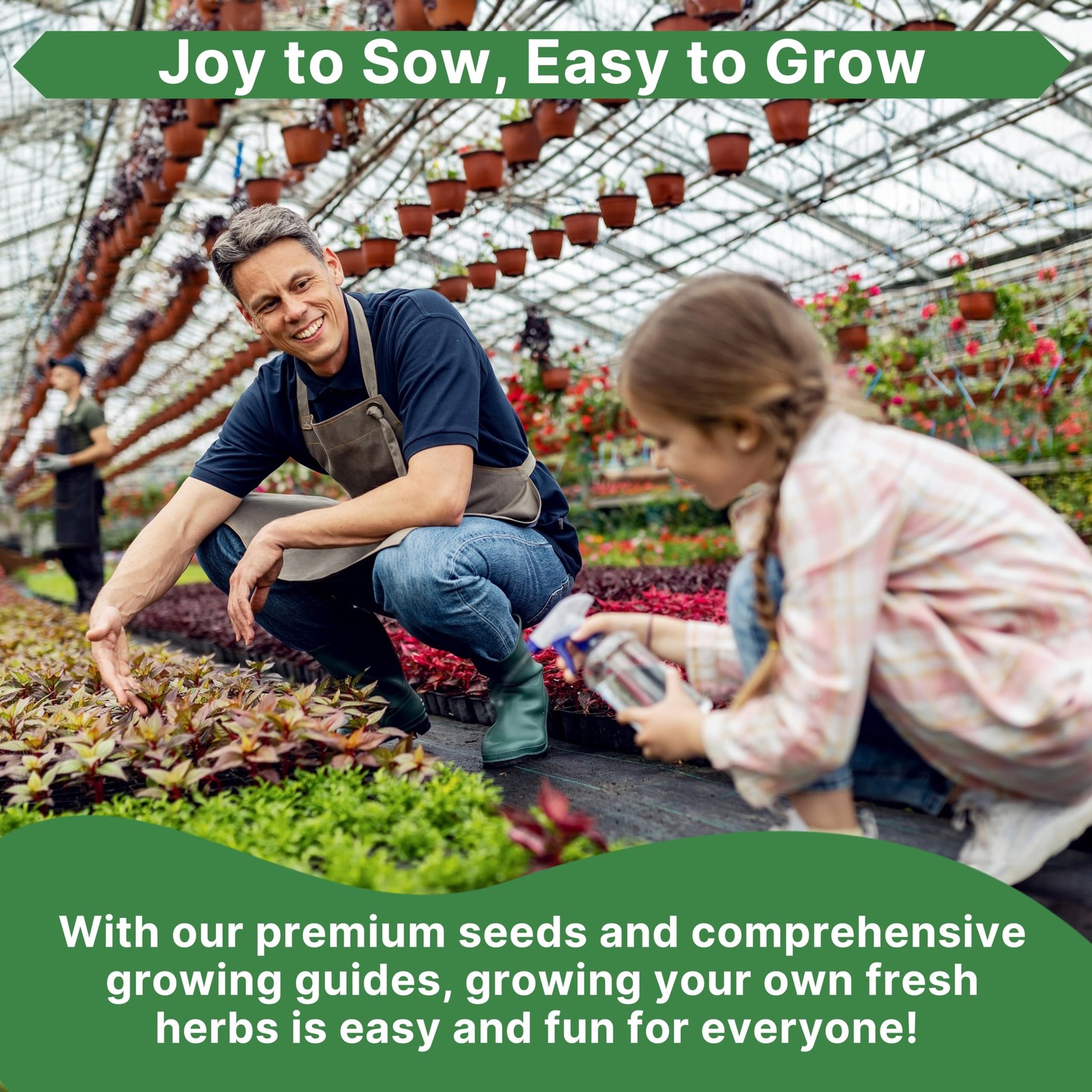 Collard Seeds Georgia Southern Non GMO Heirloom Vegetable Planting 5G