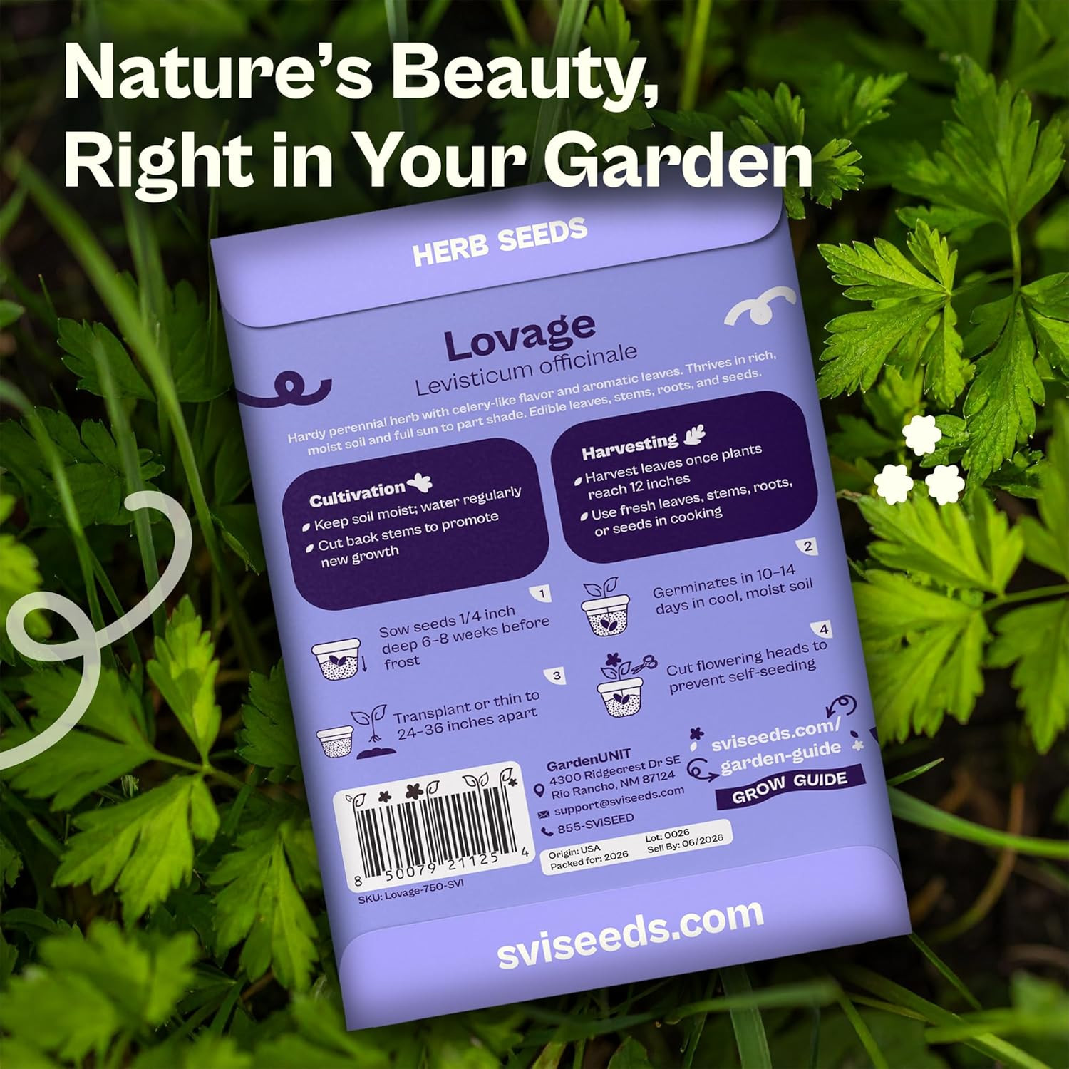750 Lovage Seeds (Levisticum Officinale) – Lovage Medicinal & Culinary Herb Seed