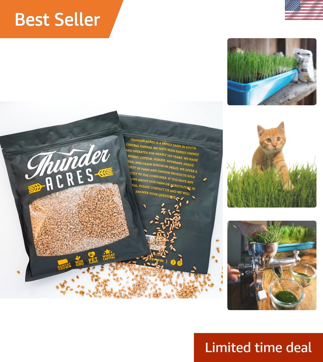 Nourishing Non-GMO Wheatgrass Cat Grass Seed, 2 lbs – Perfect for Indoor Growth