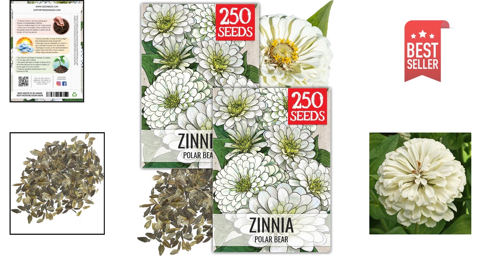 Polar Bear Zinnia Seeds for Planting – Attract Pollinators & Enjoy Cut Flowers