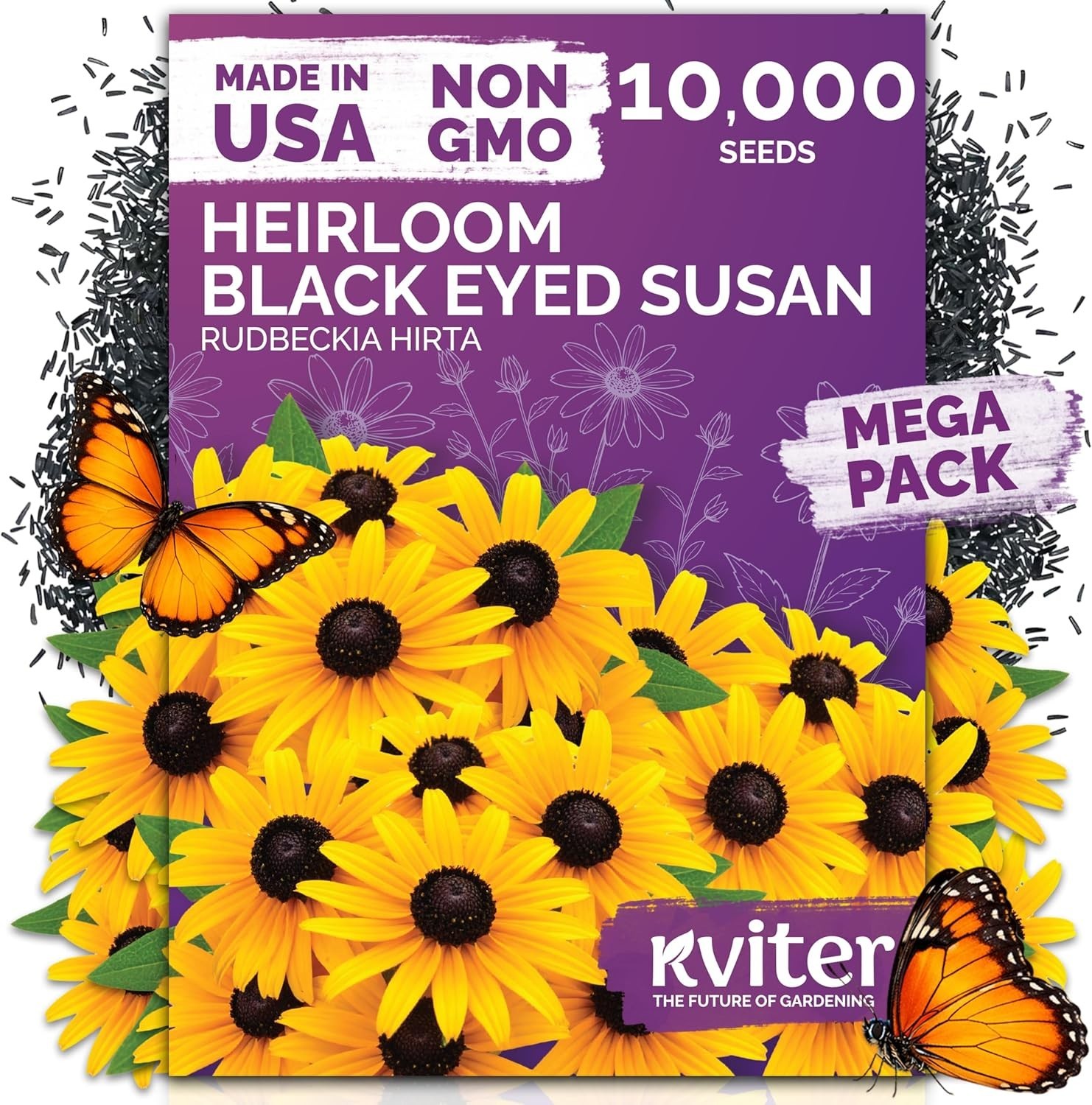 Wildflower Seed Pack Black Eyed Susan for Summer Blooming Gardens