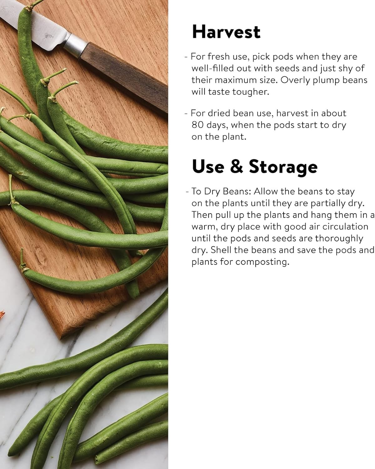 Early Italian Bush Bean Seeds 2 Oz – Perfect for Small Spaces & Containers