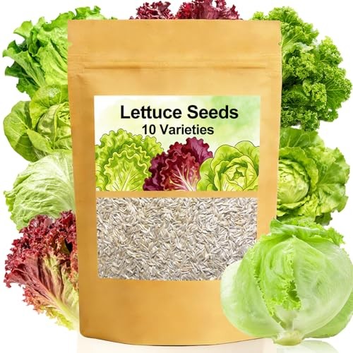 Lettuce Seeds, 10 Varieties Individual Packs, 40000+ Non-GMO Heirloom