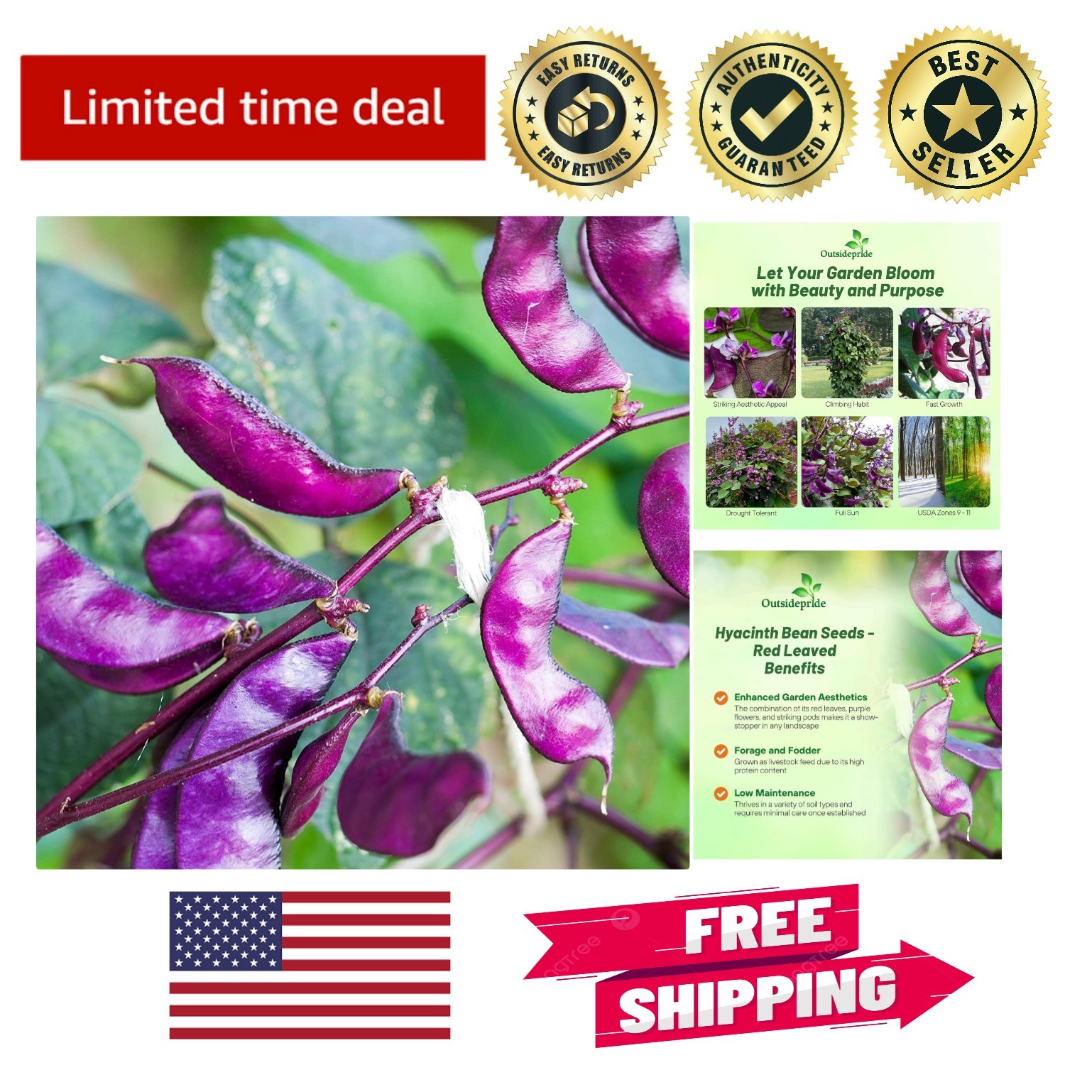 Vibrant Red Lablab Hyacinth Bean Vine Seeds – 100 GMO-Free for Thriving Gardens