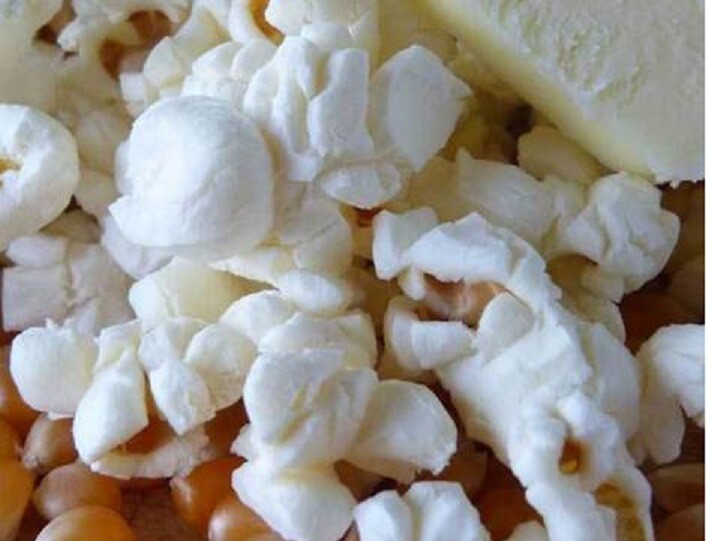 Non GMO Heirloom OP South American Popcorn Treated Seed a.k.a. Dynamite Popcorn