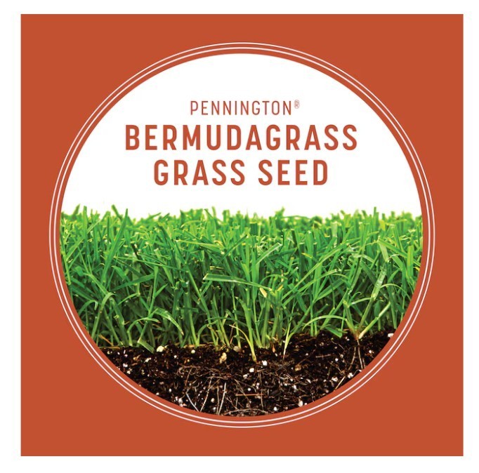 [HOT SALE] Pennington Bermuda Grass Seed 15 lb Bag Covers Up to 15,000 Sq Ft