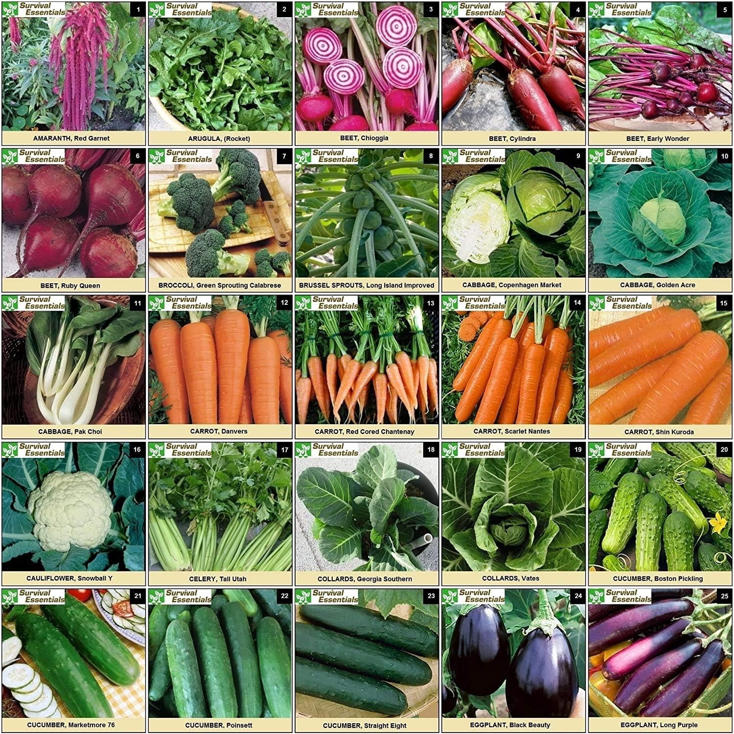 Heirloom Seed Vault 100 Variety Non-GMO Veggie Fruit Herb Survival Garden Kit