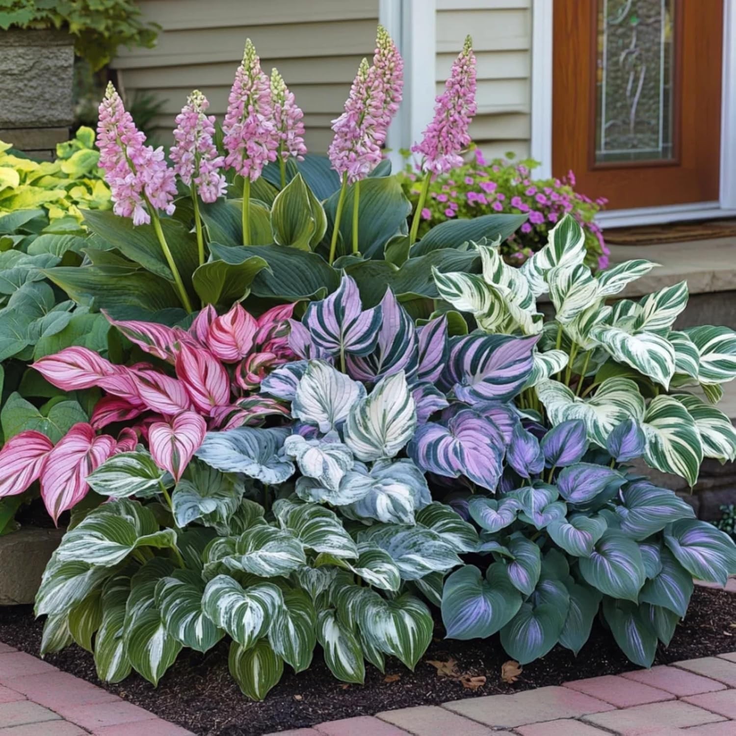 400+ Perennial Rare Hosta Seeds Heart-Shaped Hosta Bare Roots – Rich Foliage,…