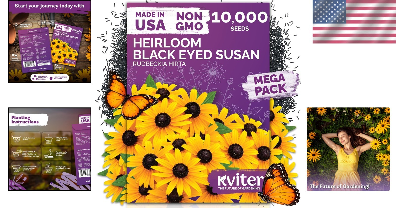10,000 Black Eyed Susan Seeds – High Germination, Easy Care for Colorful Gardens