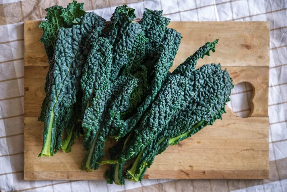 Black Magic Kale Seeds for Planting (200 Seeds) – Grow Your Own Food