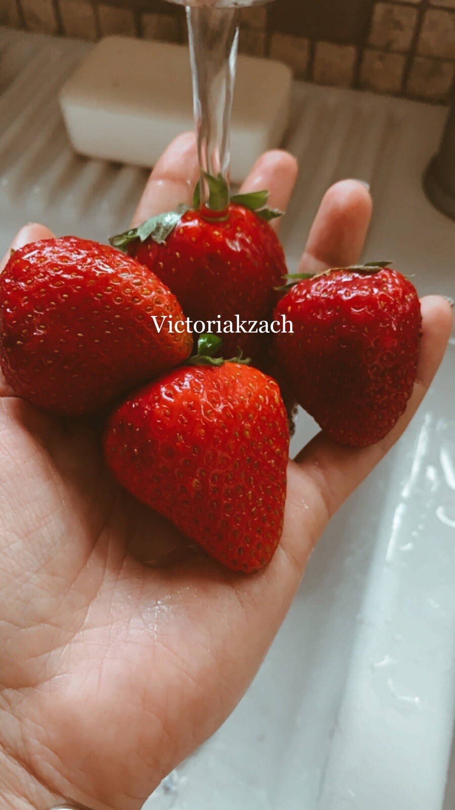100 Strawberry Seeds 🍓 Homegrown Edible Garden Fruit Organic Sweet NonGMO Berry
