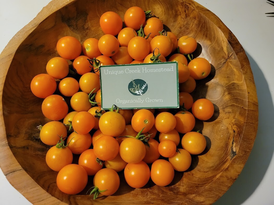 Tomato SEEDS Sungold Cherry 10-Seeds Organically Grown Unique Creek