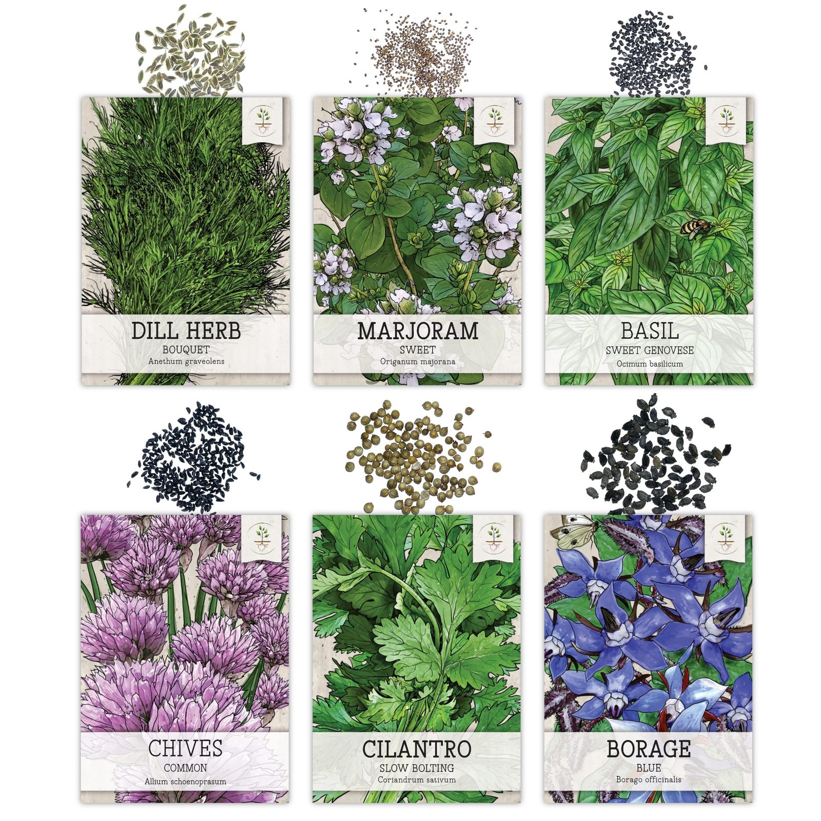Herb Seeds Variety Pack Culinary Herb Collection (12 Individual Packets for P…