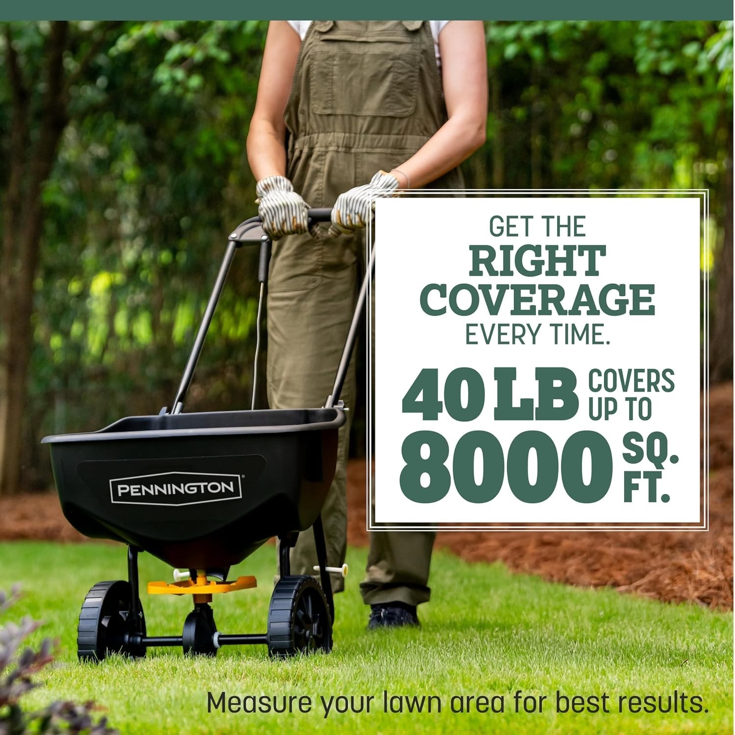 Thick Blades for Summer: Tall Fescue Grass Seed