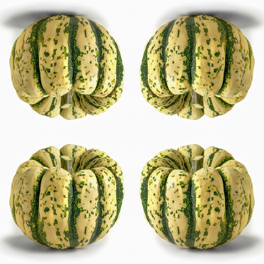 25 SWEET DUMPLING SQUASH SEEDS WINTER SQUASH