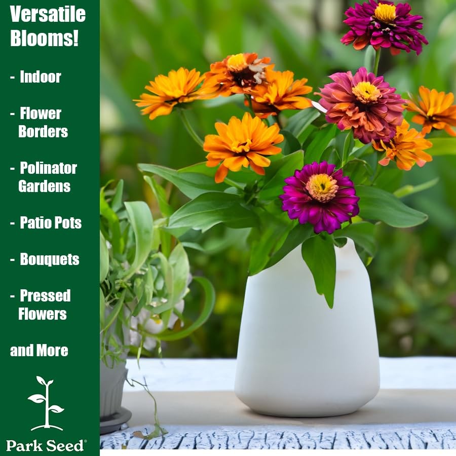 Zinnia Seeds, Planting Flowers, Easy to Grow, Non-GMO, Perfect for Spring Gar…