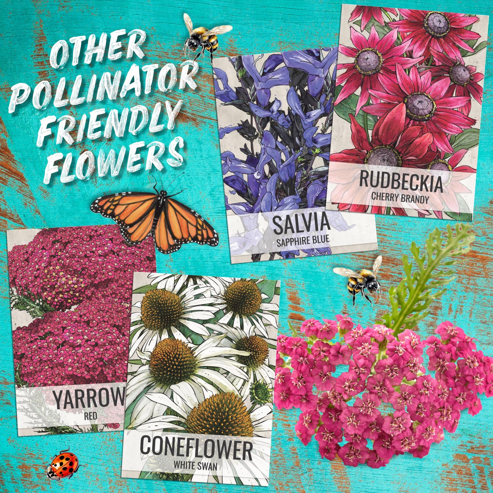Seed Needs Orange Butterfly Milkweed Seeds for Monarch Butterflies 2 Packs