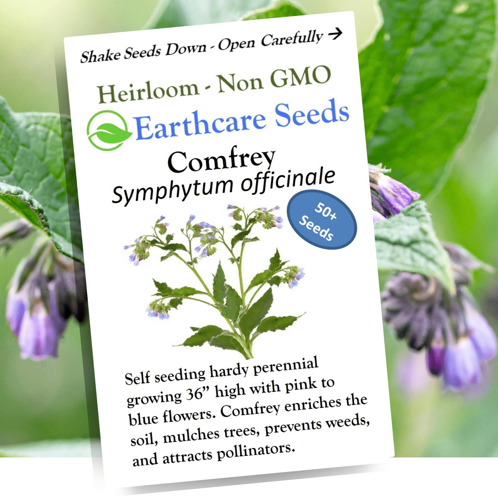 Earthcare Seeds True Comfrey 50 Seeds Symphytum officinale Non GMO, Heirloom