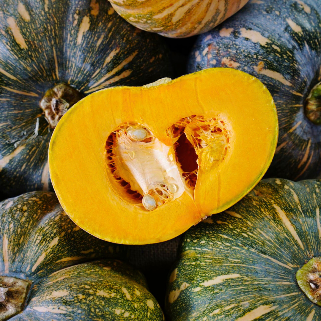 Fresh Japanese Kabocha Pumpkin 10 Seeds | Heirloom | Non-GMO | Asian Vegetables