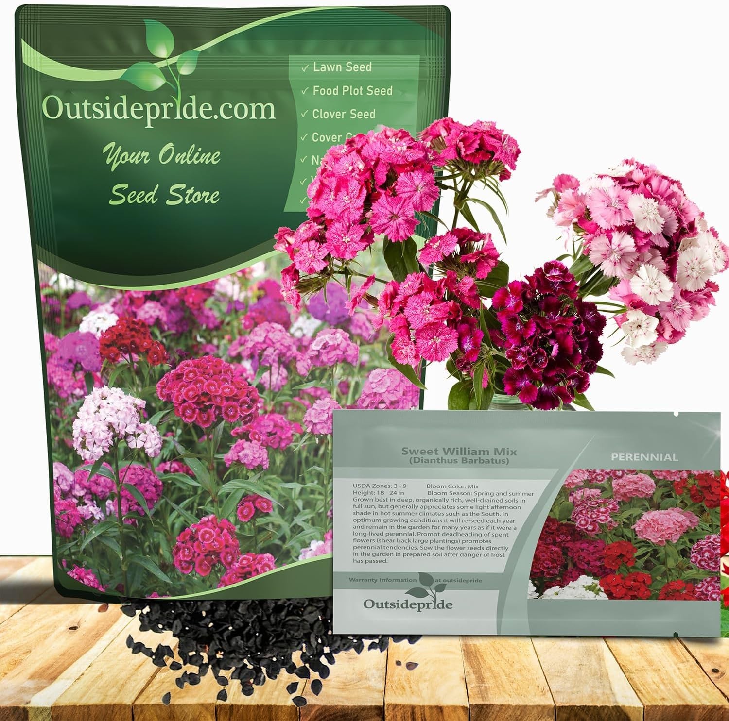 Sweet William Dianthus Seeds – 1/4 lb Fragrant Perennial Blooms for Pollinators