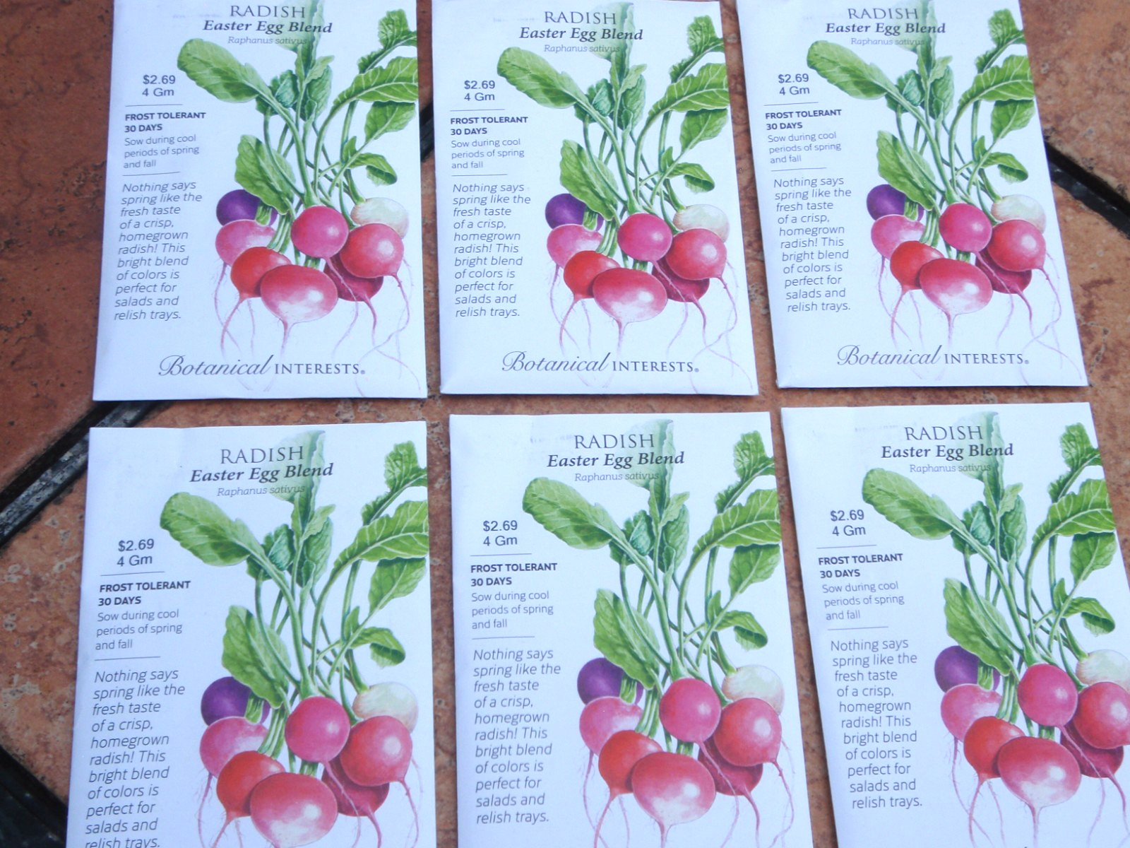 (6 PACK)-BRAND NEW BOTANTICAL INTERESTS EASTER EGG BLEND RADISH-PACKED FOR 2026
