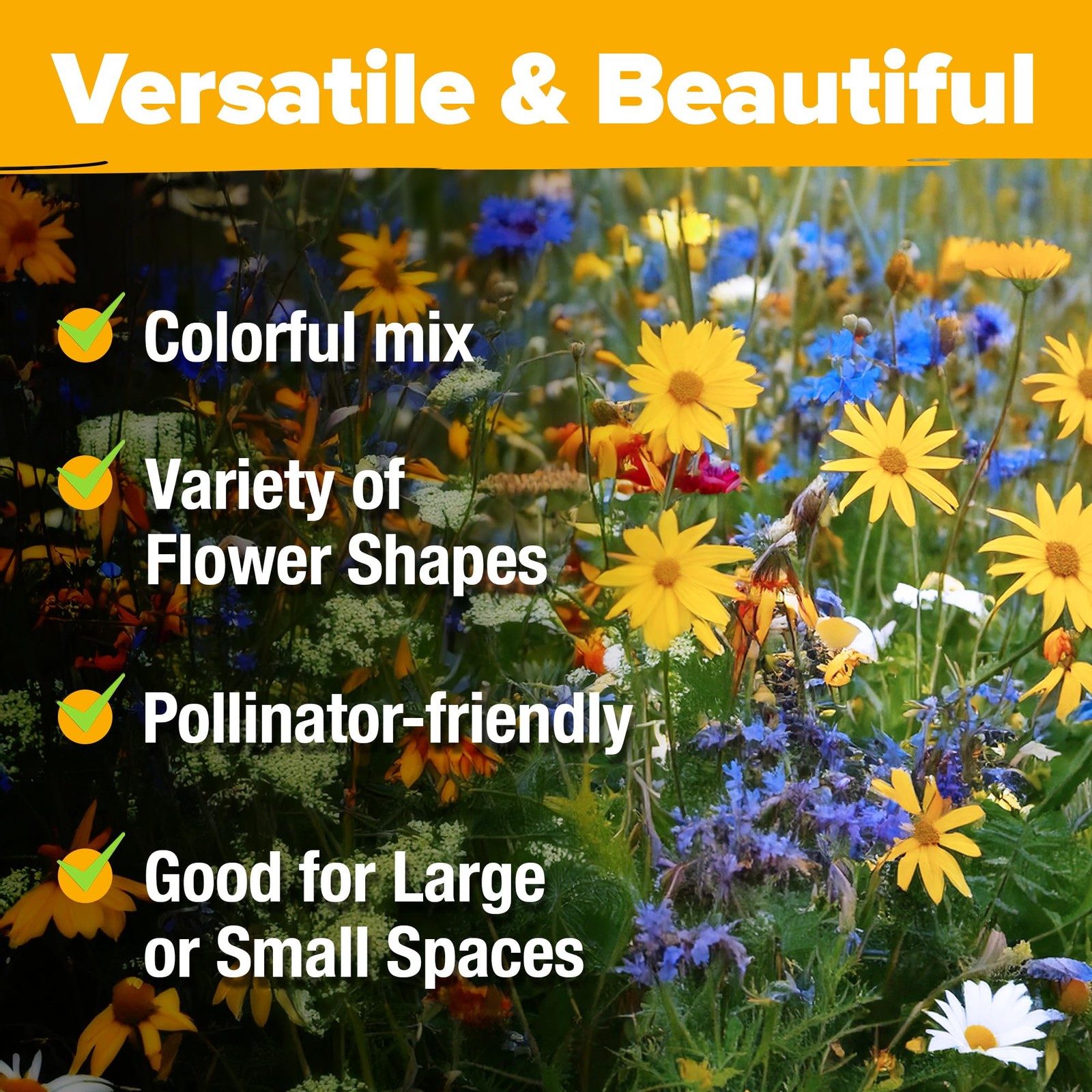 90000 Wildflower Seeds Mix Non GMO Butterfly Pollinator Garden Blend