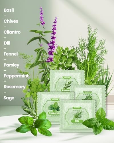 Culinary Herb Seeds Variety Pack – 9 Heirloom Kits for Indoor/Outdoor Gardening