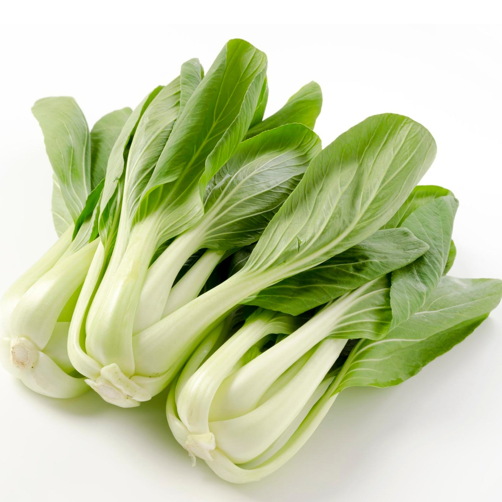 Pak Choi – Seeds – Organic – Non Gmo – Heirloom Seeds – Vegetable Seeds