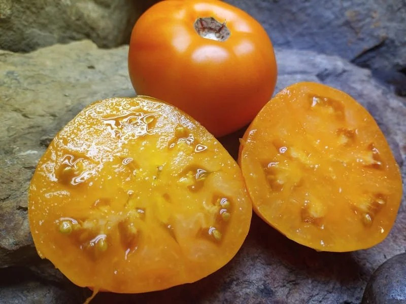 240+ Yellow Brandywine Tomato Seeds ———- Heirloom — NON GMO ——- FRESH