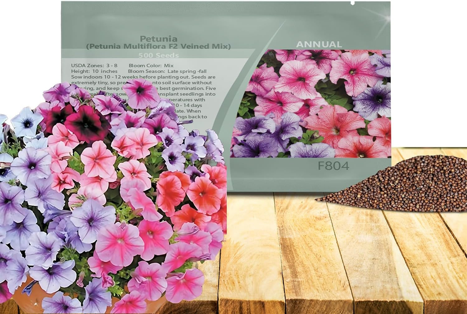 Veined Multiflora Petunia Seeds – 500 Pcs. Annual, Compact, Flower Seeds for Pla