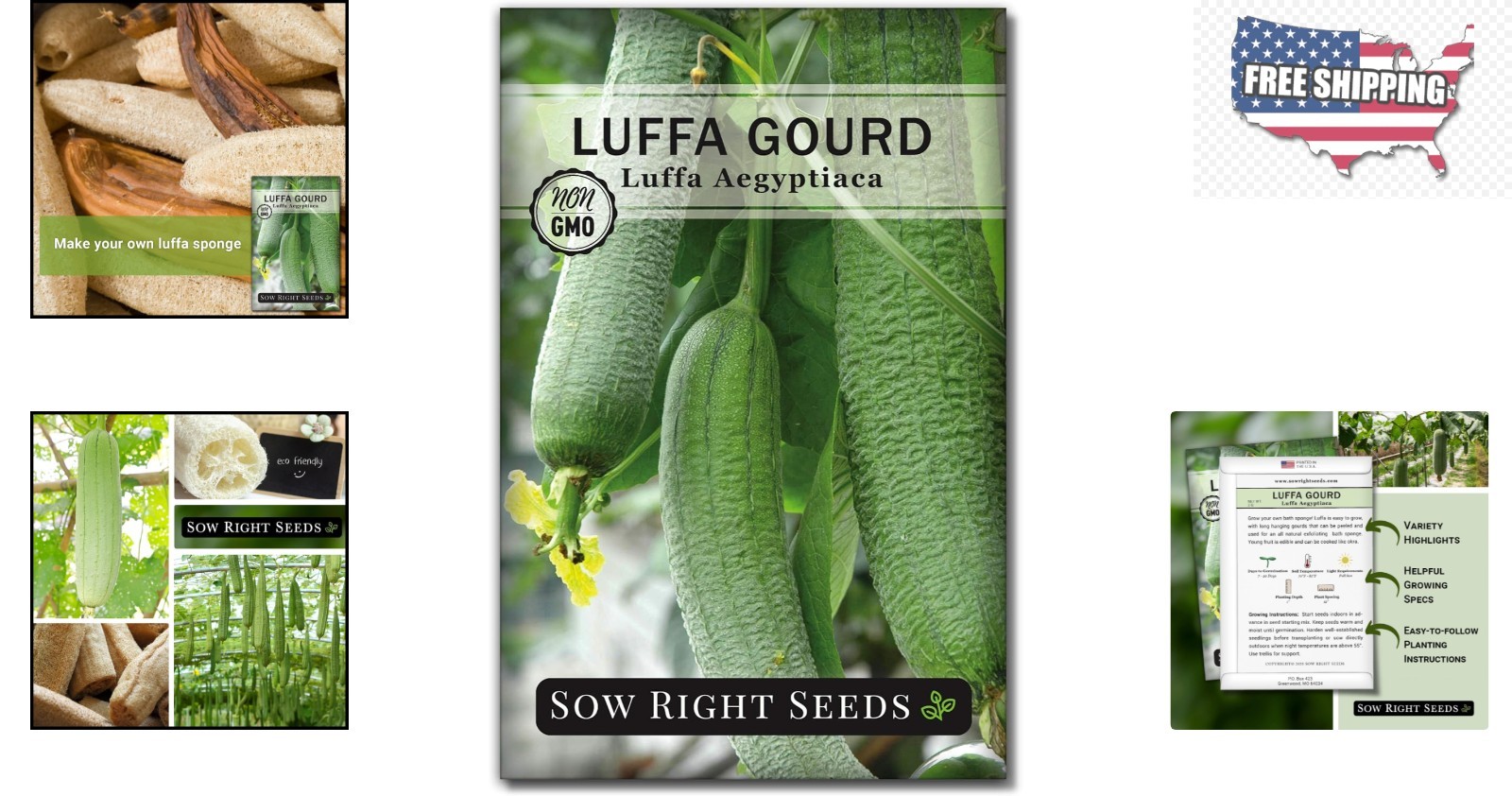 Unique Luffa Gourd Seeds – Grow Edible Fruiting Gourds and Natural Bath Sponges