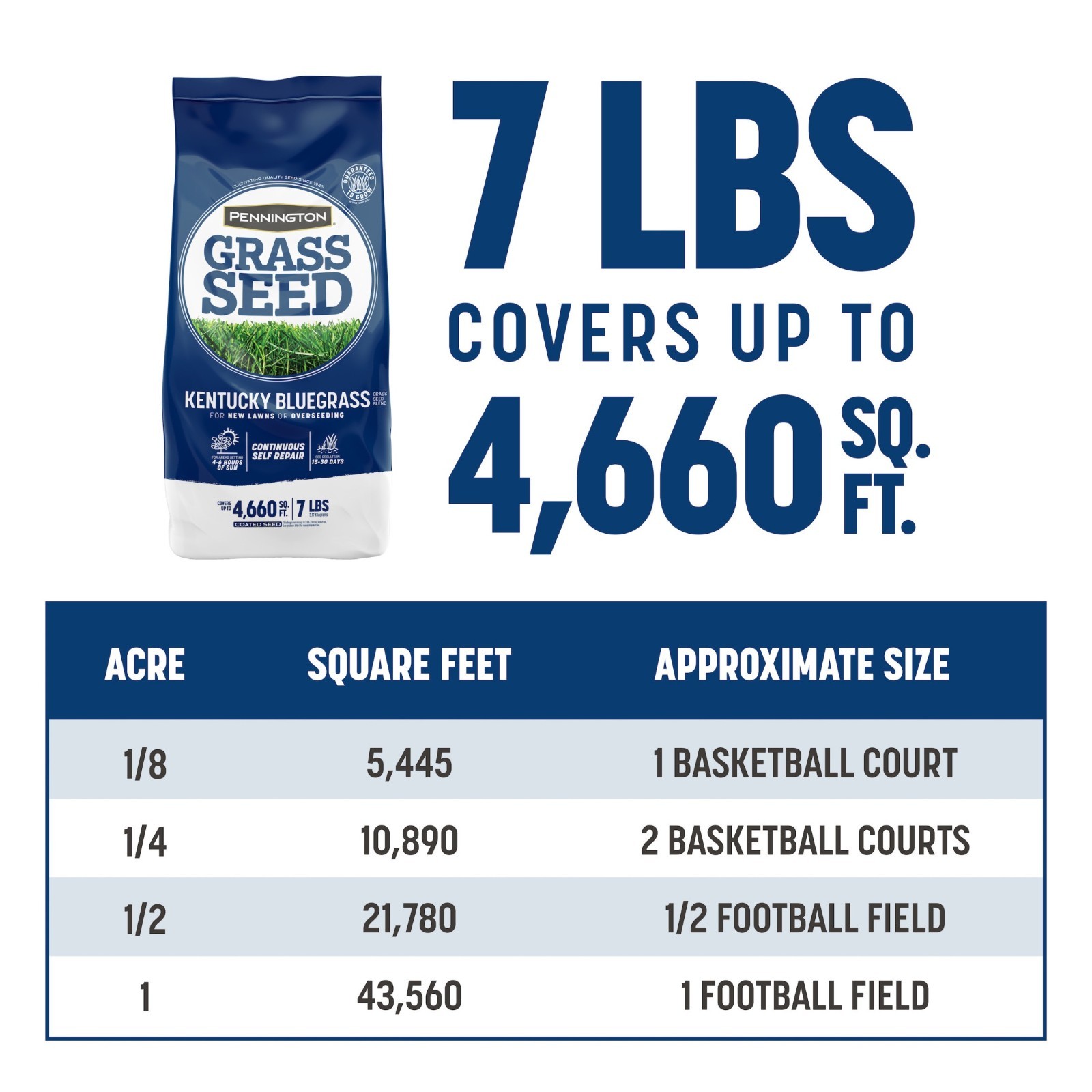 Pennington Kentucky Bluegrass Northern Grass Seed Mix for Sun to Partial Shade,