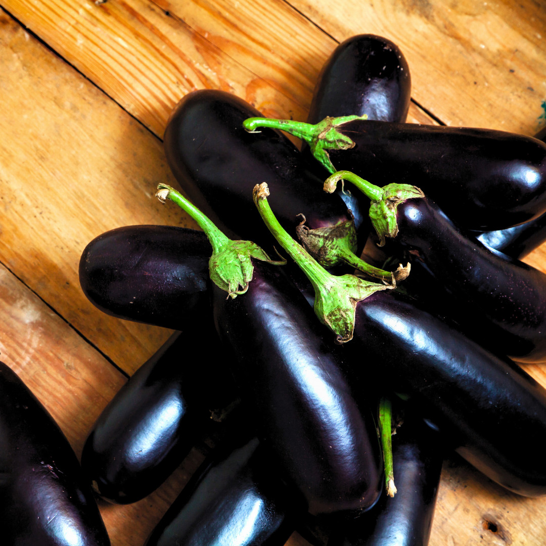 Fresh Premium Black Beauty Eggplant Seeds | Heirloom Non-GMO | Vegetable Seeds