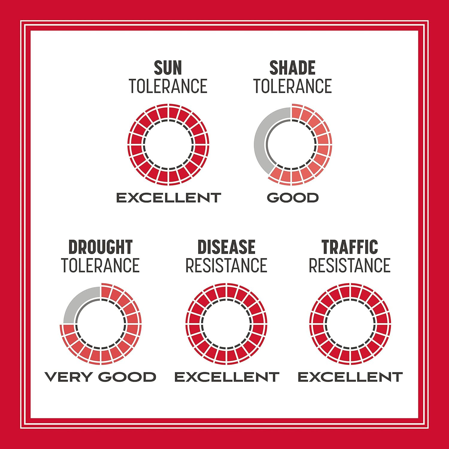 the Rebels Tall Fescue Grass Seed Mix 3 Lb