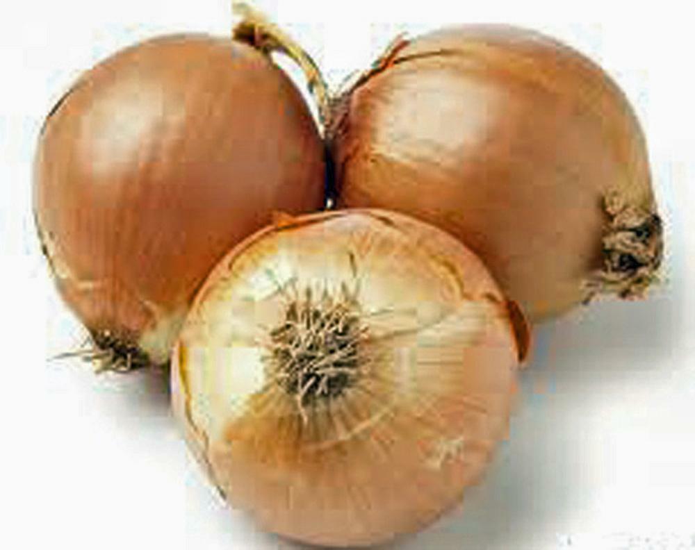 ONION SEED, SPANISH YELLOW, HEIRLOOM, NON GMO, 100 SEEDS, ONIONS