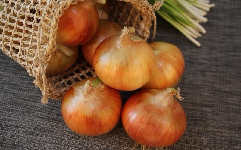 Sweet Yellow Onion, Brown Onion – 200 Seeds 2026 – USA