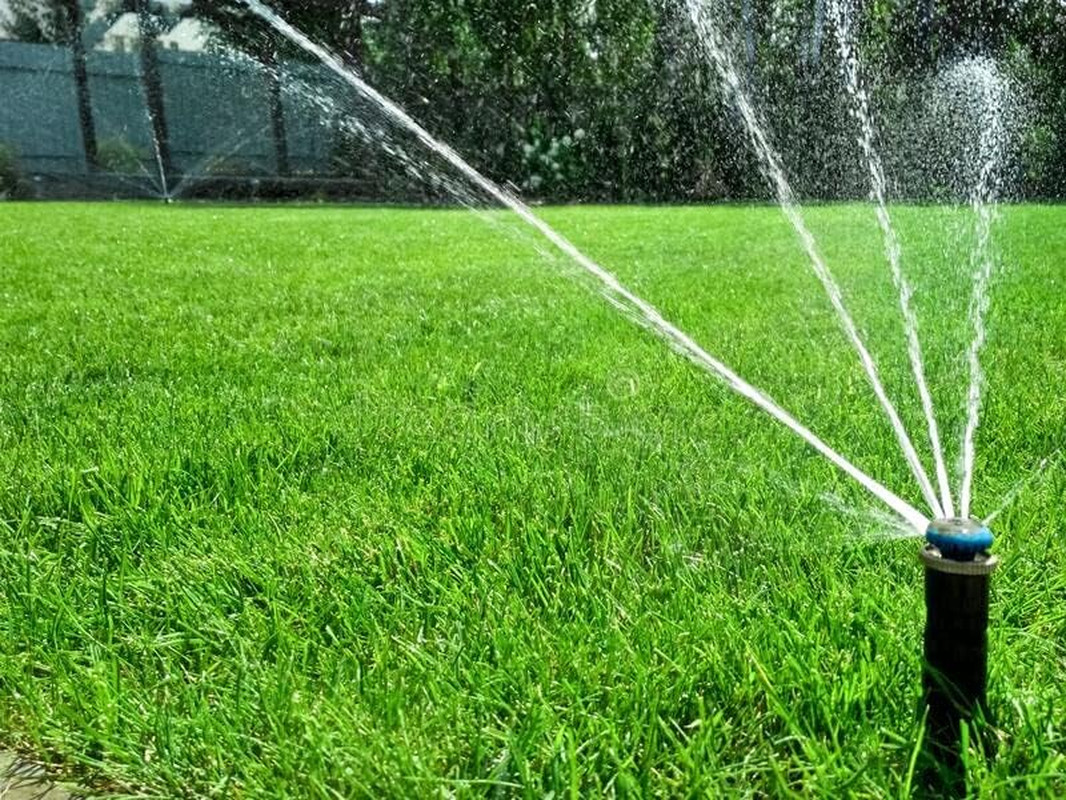 Pennington Signature Series Tall Fescue Blend Blue Tag 50 Lb Grass Seed Partial